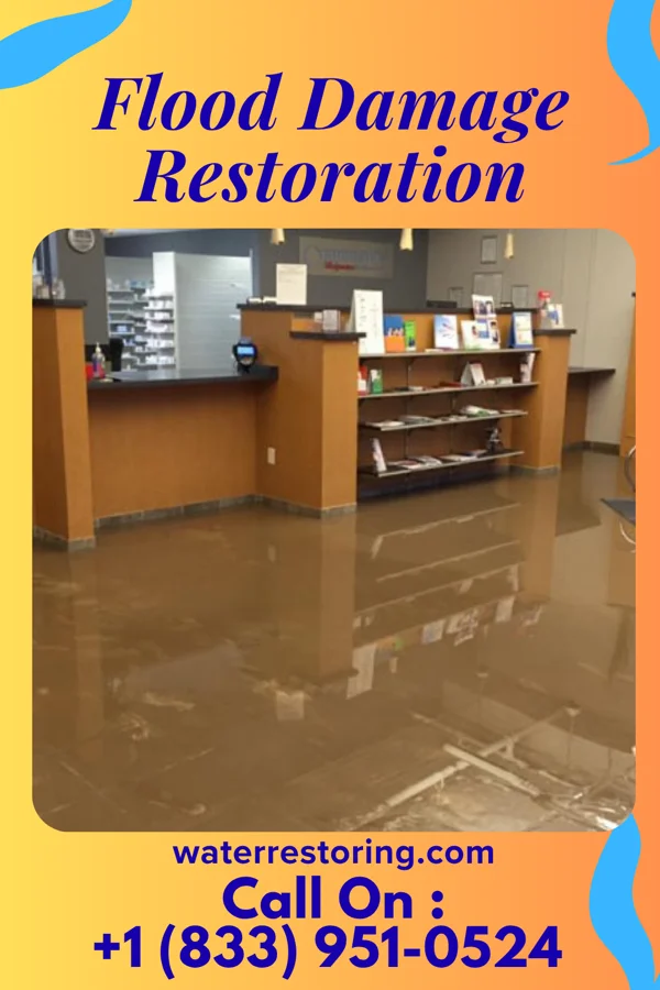 Flood Damage Restoration in Hamburg, MN