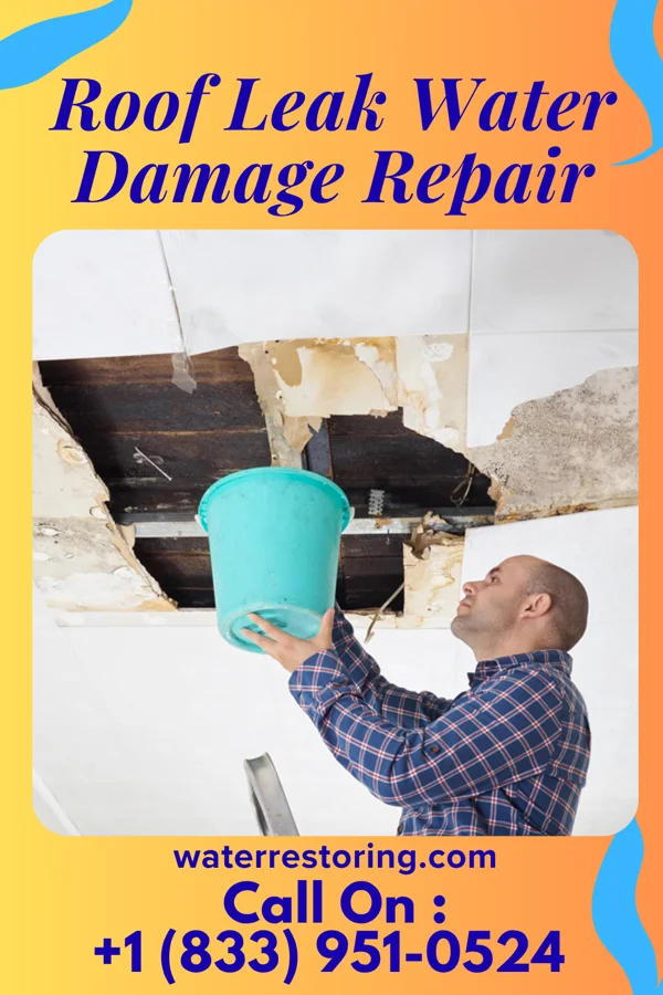Roof Leak Water Damage Repair in Hamburg, MN