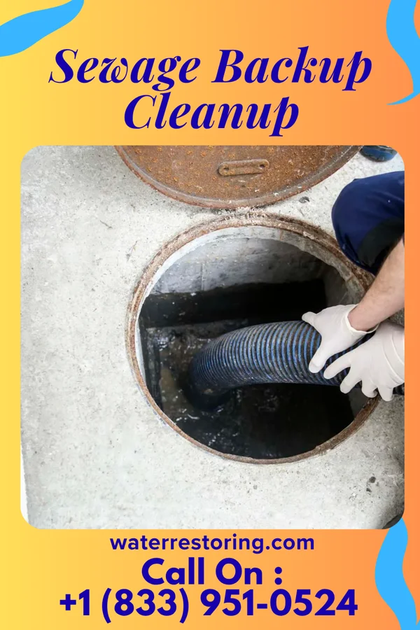 Sewage Backup Cleanup in Hamburg, MN