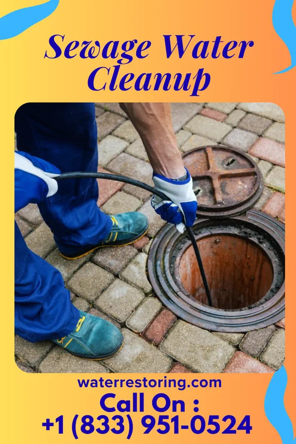 Sewage Water Cleanup in Hamburg, MN